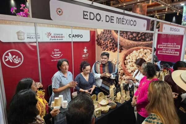 Caficultores mexiquenses llevan sus mejores granos a la CONCAFÉ 2026 en Puebla