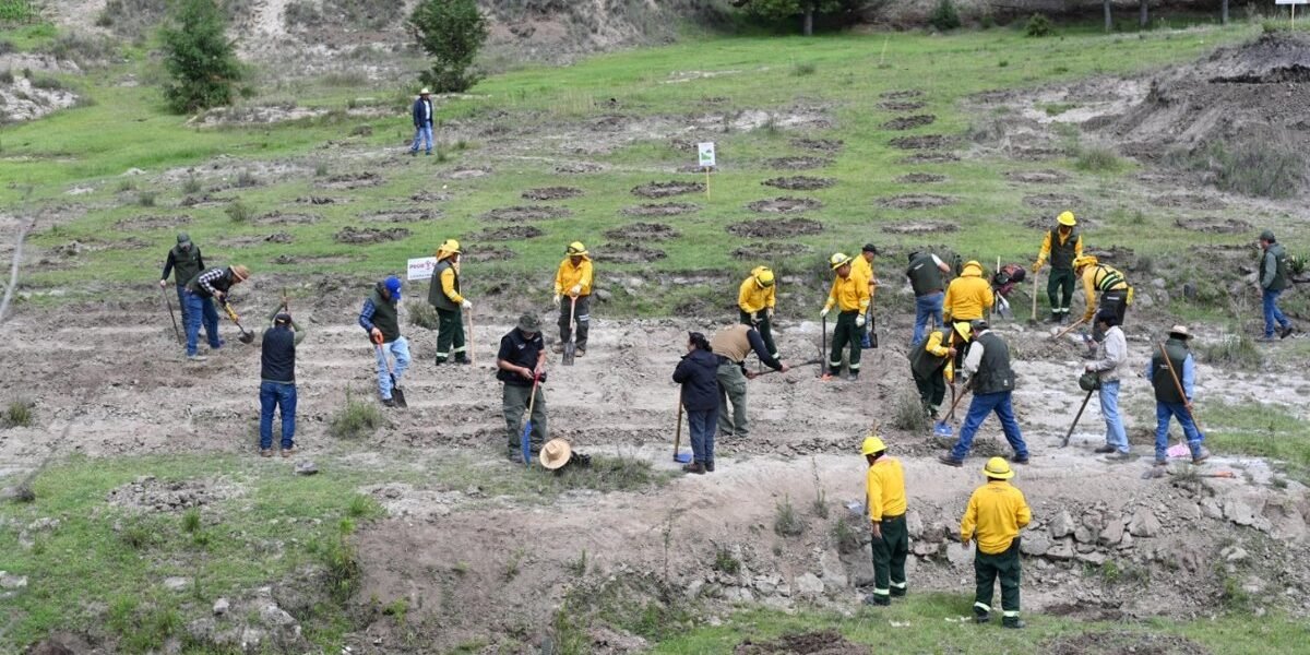 Estado de México inicia campaña de restauración forestal para recuperar ecosistemas