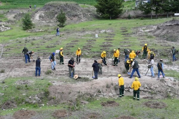 Estado de México inicia campaña de restauración forestal para recuperar ecosistemas