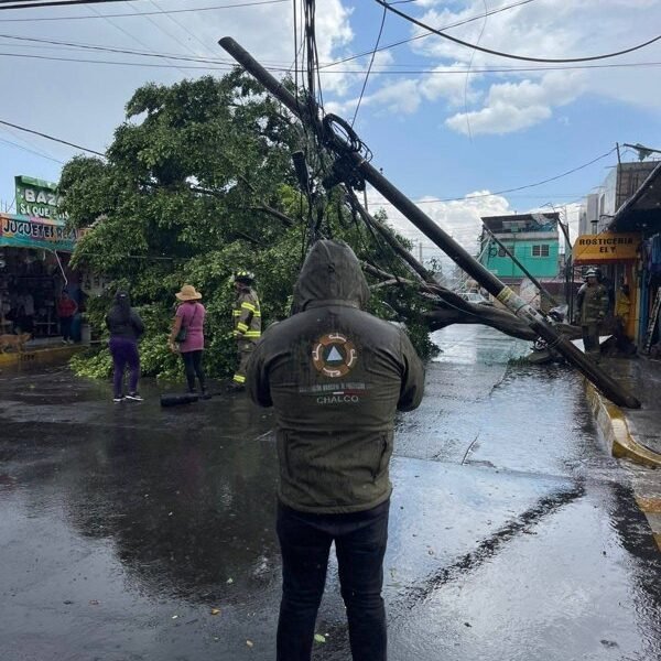 Fuertes vientos derrumban árbol en Chalco; sin lesionados