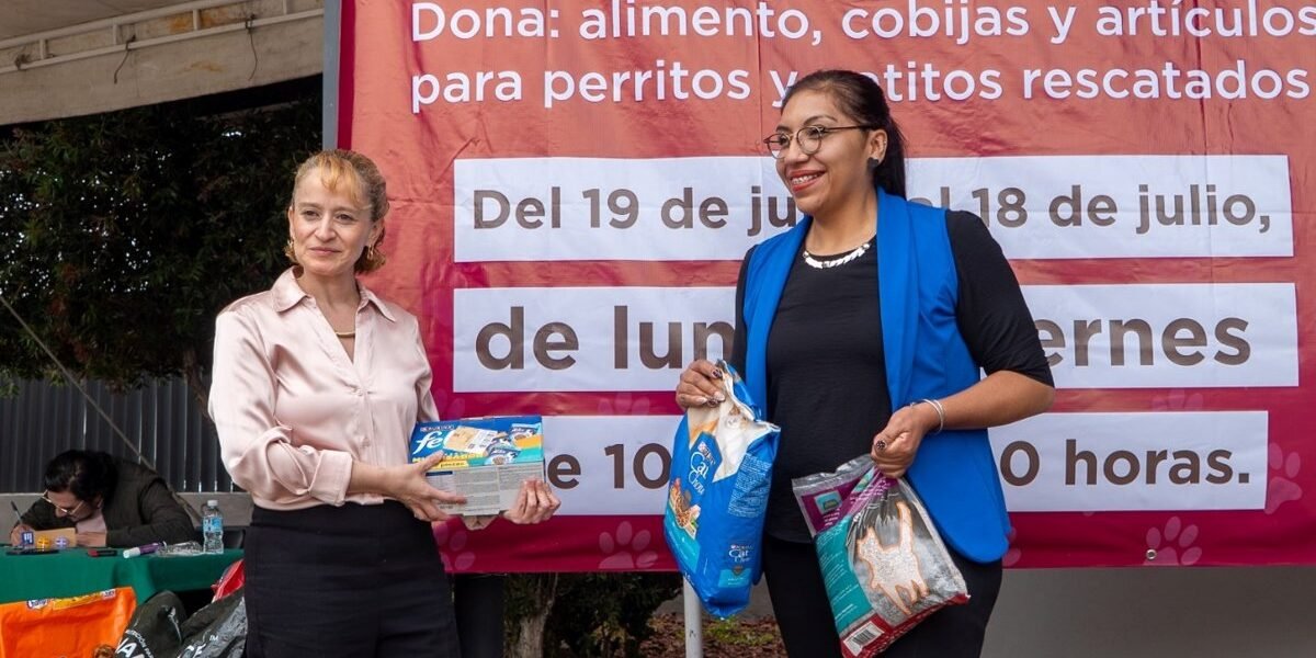 Croquetmanía: El Estado de México convoca a donar alimento para mascotas rescatadas