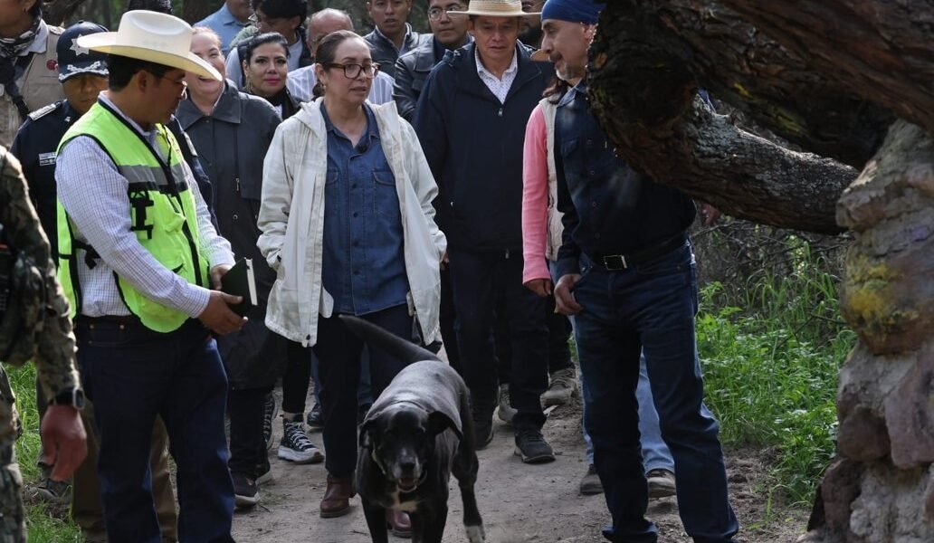 Ecatepec transforma barrancas en oasis de flora y fauna
