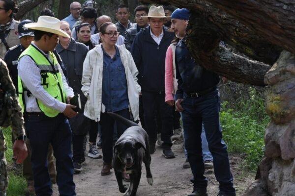 Ecatepec transforma barrancas en oasis de flora y fauna