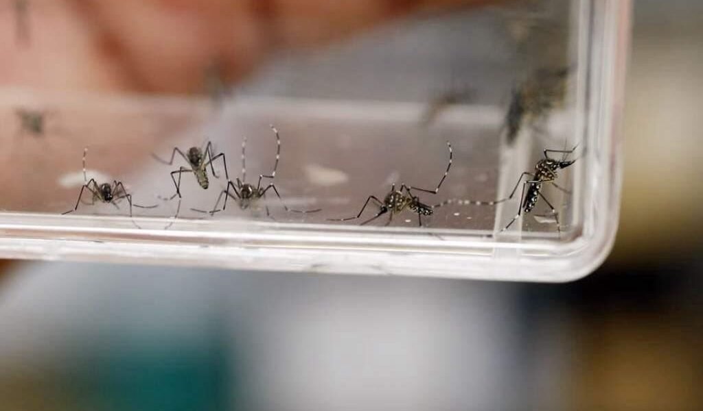 Edomex advierte sobre riesgos sanitarios por agua estancada en temporada de lluvias