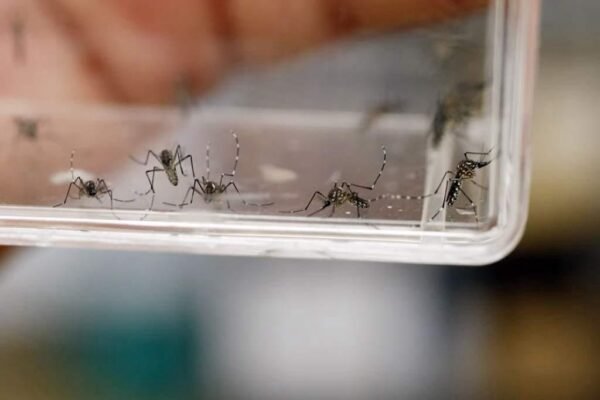 Edomex advierte sobre riesgos sanitarios por agua estancada en temporada de lluvias
