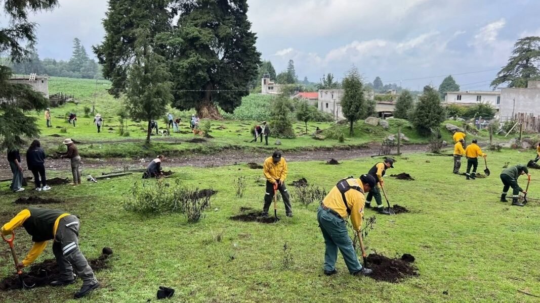 Amecameca siembra 500 árboles en jornada de reforestación en El Ocotal