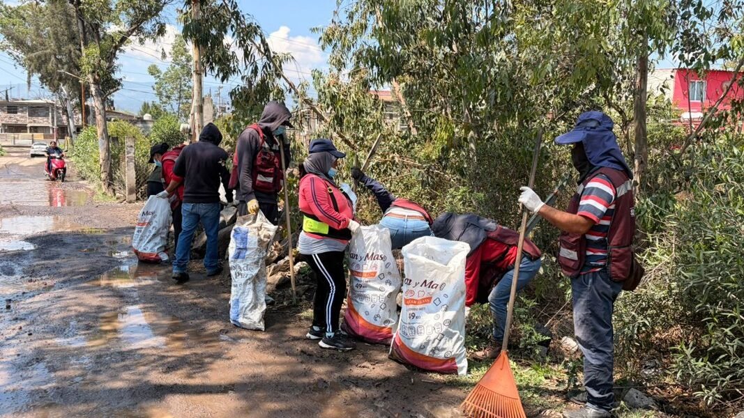 Retiran 29 toneladas de basura de la zona lacustre Tláhuac-Xico