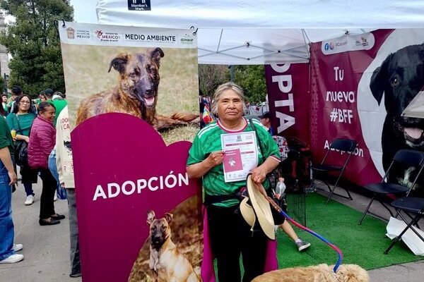 13 perros encuentran hogar gracias a 'La Mejor Jugada es Adoptar'