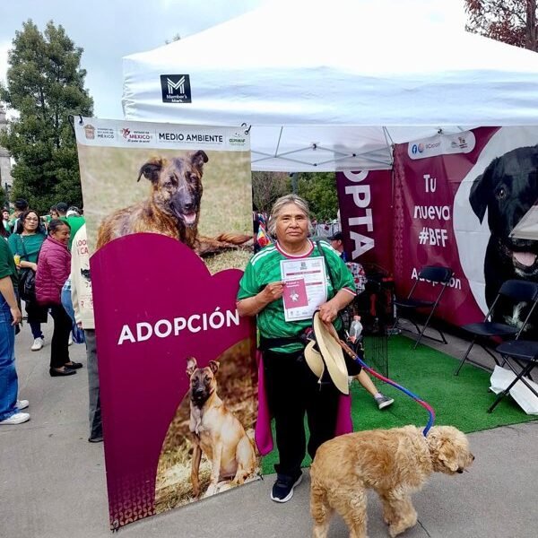 13 perros encuentran hogar gracias a 'La Mejor Jugada es Adoptar'