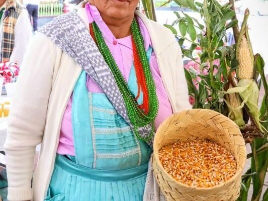 Edomex incentiva producción de maíz nativo con apoyos de hasta 6 mil pesos