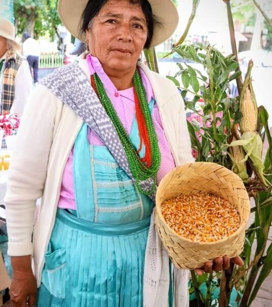 Edomex incentiva producción de maíz nativo con apoyos de hasta 6 mil pesos