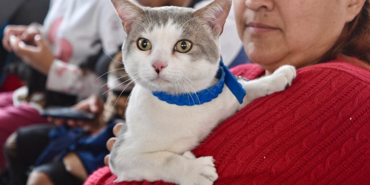 Estrategia CERA llega a Valle de Chalco con servicios veterinarios gratuitos