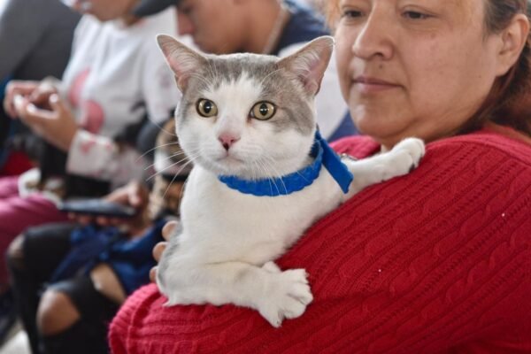 Estrategia CERA llega a Valle de Chalco con servicios veterinarios gratuitos