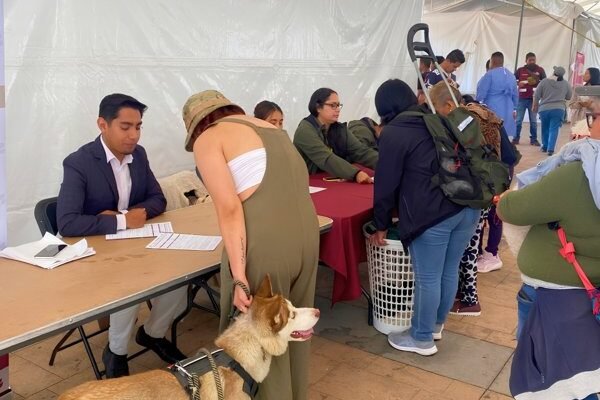 Valle de Chalco: 314 esterilizaciones gratuitas en jornada de bienestar animal