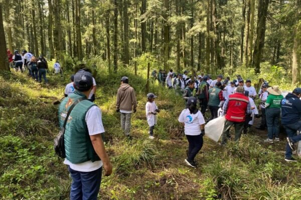 Nación Verde planta 540 mil árboles en el centro de México