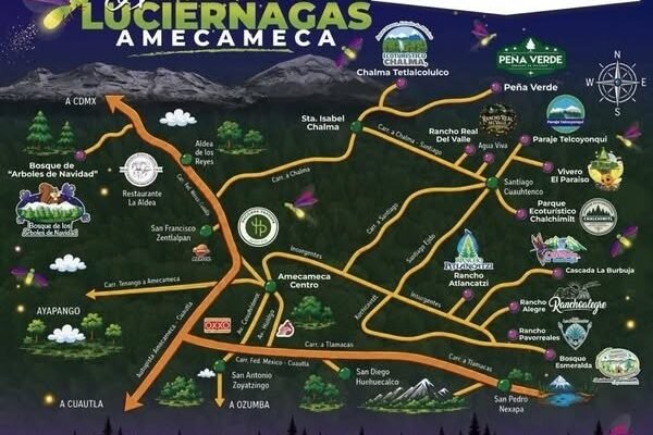Amecameca abre sus santuarios de luciérnagas: una aventura mágica bajo las estrellas