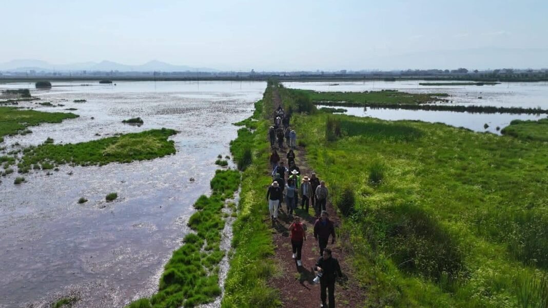 Ecatepec construye el parque ecológico más grande del Valle de México