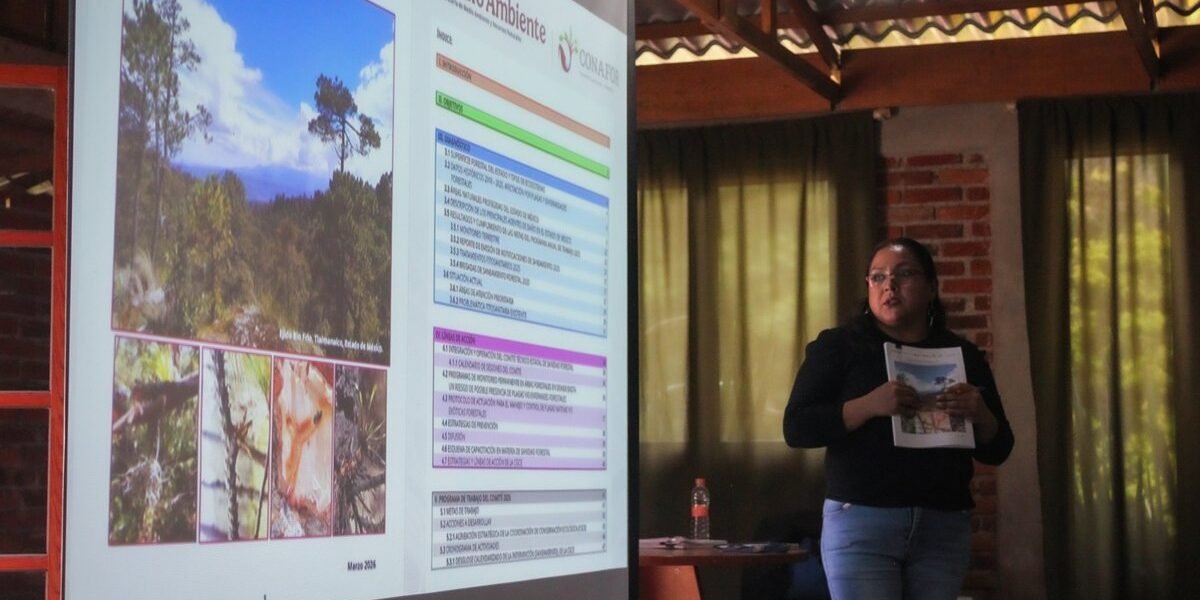 Estado de México interviene más de 1,600 hectáreas afectadas por plagas forestales