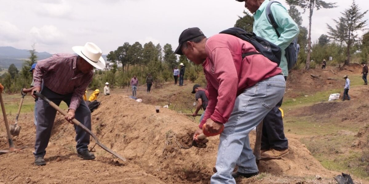 Restauración hidrológico-forestal: el plan del Edomex para salvar 9 zonas boscosas