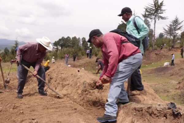 Restauración hidrológico-forestal: el plan del Edomex para salvar 9 zonas boscosas