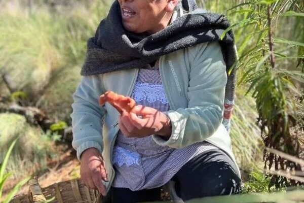Amecameca se alista para el Festival del Hongo 2026