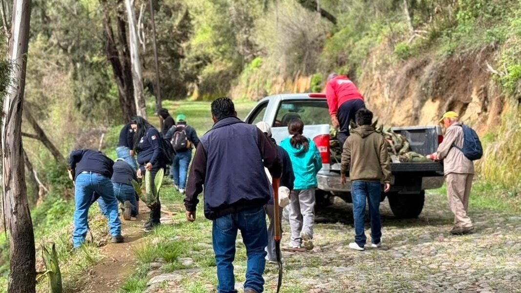 Amecameca reforesta el Cerro del Sacromonte con participación ciudadana