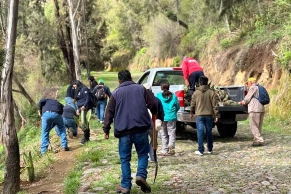 Amecameca reforesta el Cerro del Sacromonte con participación ciudadana