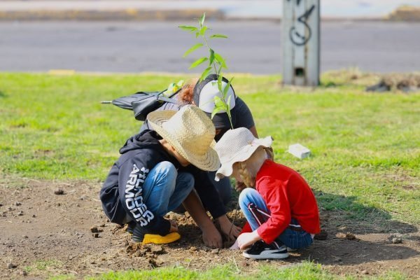 Chimalhuacán planta 300 árboles en nueva jornada de reforestación