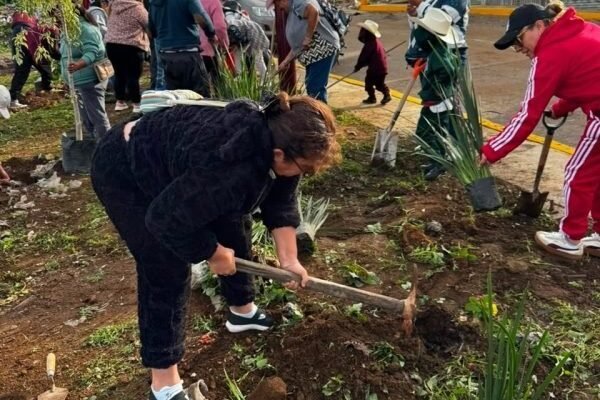 La Paz inicia campaña de reforestación que se extenderá hasta septiembre