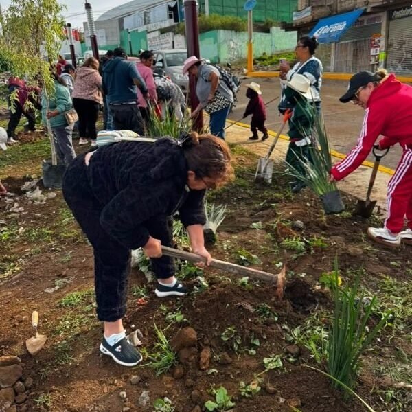 La Paz inicia campaña de reforestación que se extenderá hasta septiembre