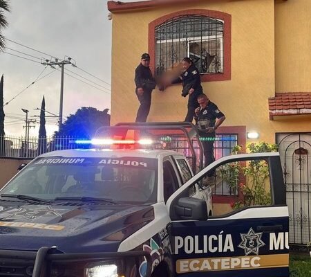 Rescate de emergencia: Protección Civil libera a canino atorado en ventana