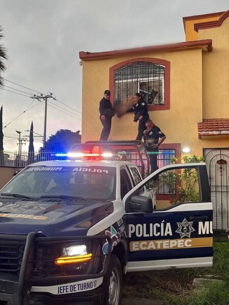 Rescate de emergencia: Protección Civil libera a canino atorado en ventana