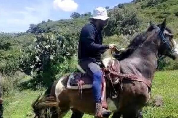 Rescatan a senderista lesionado en la Sierra de Guadalupe