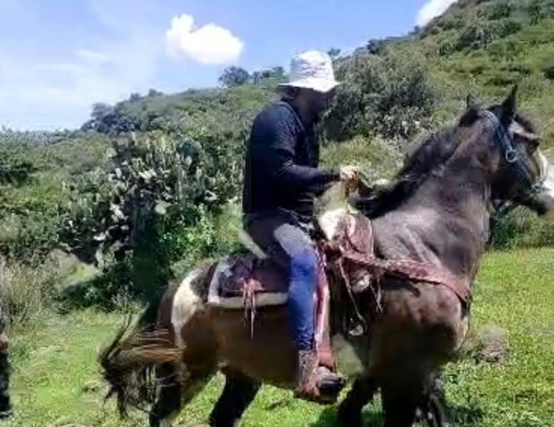 Rescatan a senderista lesionado en la Sierra de Guadalupe