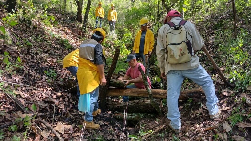 Estado de México concluye campaña de protección forestal con resultados históricos