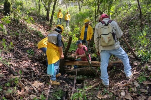 Estado de México concluye campaña de protección forestal con resultados históricos
