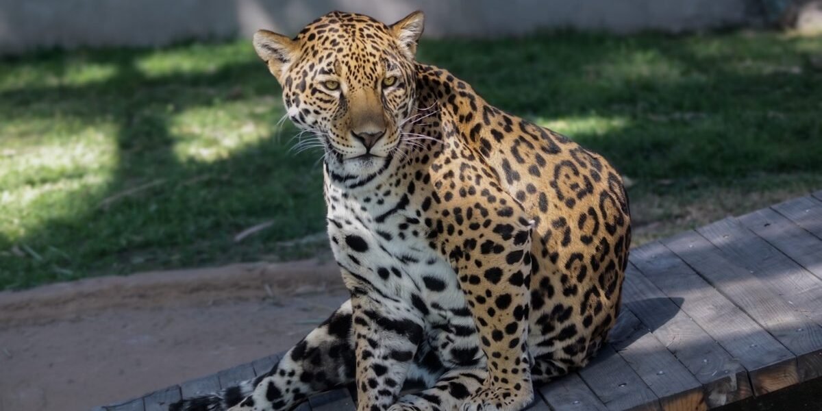 Parque Ecológico Zacango abre de lunes a domingo para familias mexiquenses