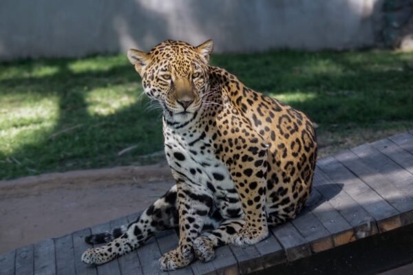 Parque Ecológico Zacango abre de lunes a domingo para familias mexiquenses