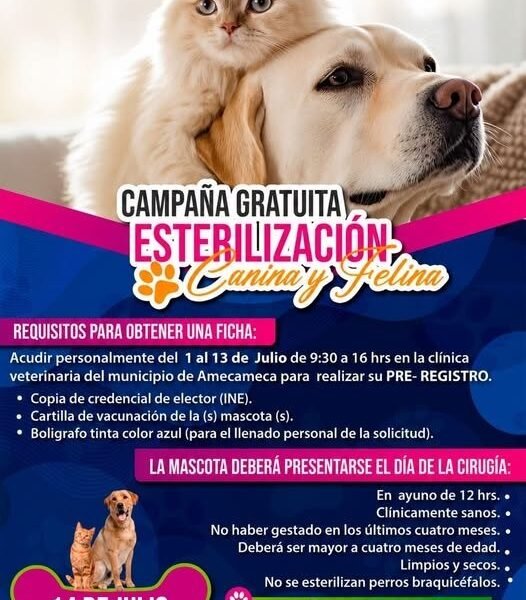 Amecameca abre preregistro para esterilización gratuita de mascotas