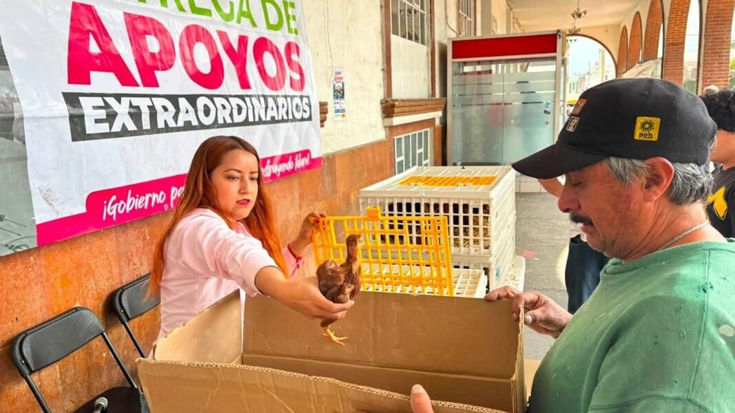 Amecameca fortalece economía familiar con entrega de aves de corral