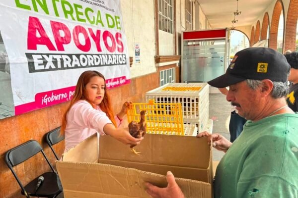 Amecameca fortalece economía familiar con entrega de aves de corral