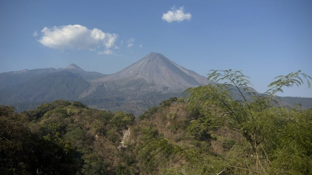 Águila tirana: el depredador alado que sorprende a científicos en Querétaro