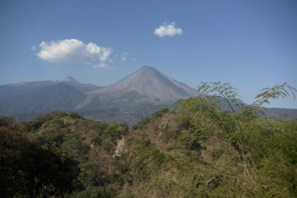 Águila tirana: el depredador alado que sorprende a científicos en Querétaro