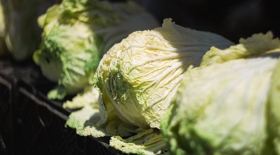 FDA rectifica alerta sobre lechuga mexicana: resultado fue falso positivo