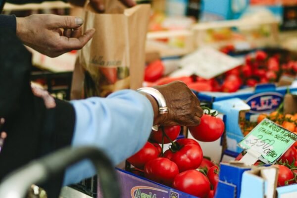 El dilema del IVA en alimentos: ¿alivio temporal o trampa fiscal?