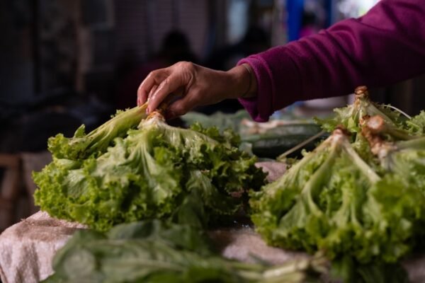 Paraguay: cómo un país achaca el crecimiento económico en Sudamérica