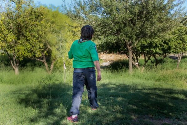 México en la encrucijada: el nuevo rol como frontera de espera para menores migrantes