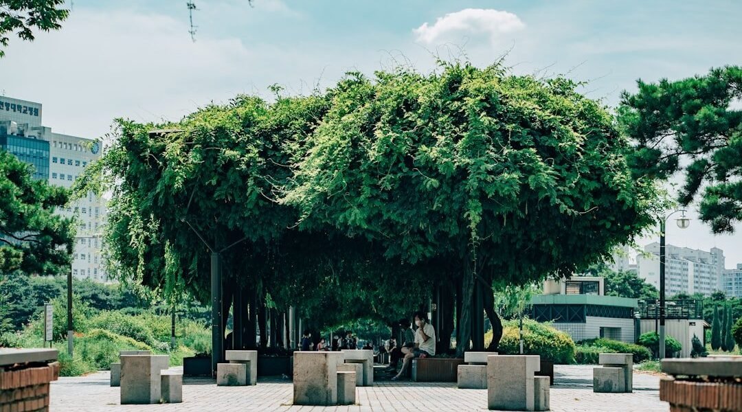 Monterrey: cuando una empresa elige al árbol sobre el lucro inmediato