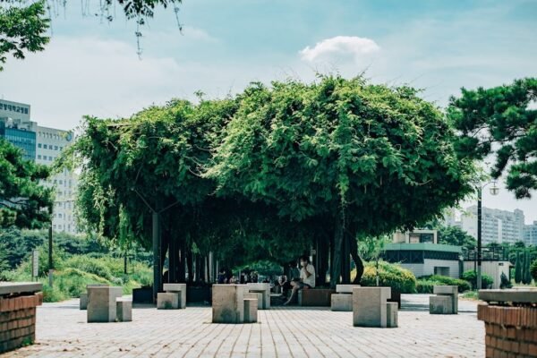Monterrey: cuando una empresa elige al árbol sobre el lucro inmediato