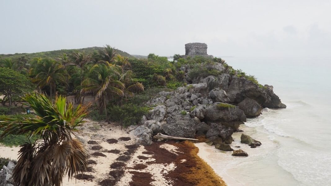 México advierte sobre playas contaminadas: cómo elegir destinos seguros este verano